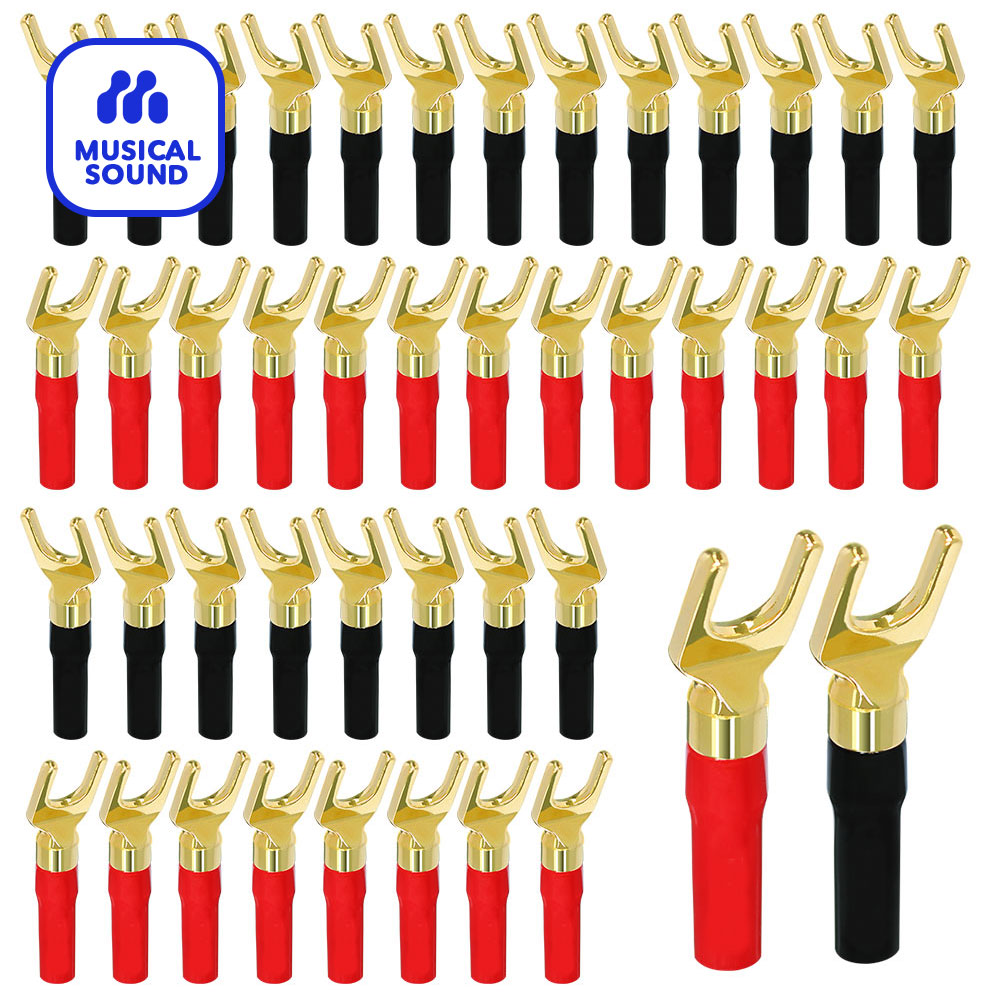 Hi-Fi Banana Plugs Y Type Gold - đánh giá và giá Audio Music Hifi