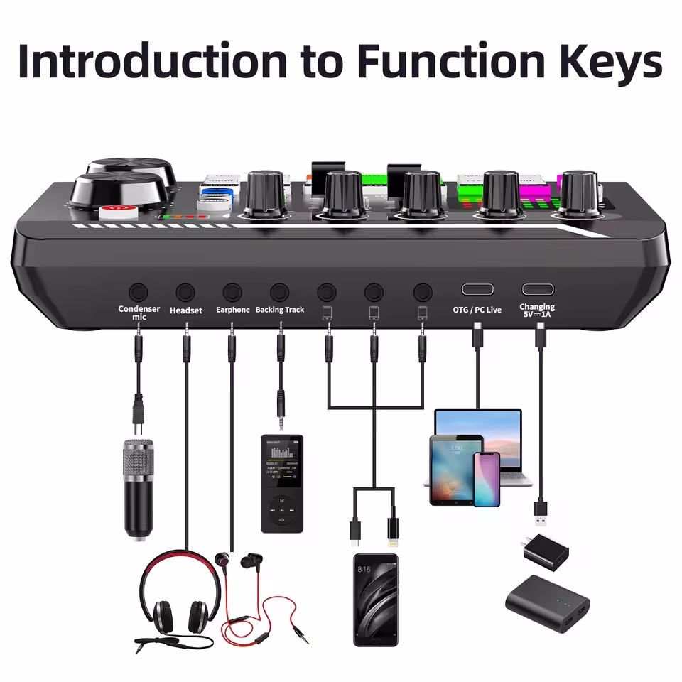Professional Microphone Mic Bl - đánh giá và giá Audio Music Voice Changer