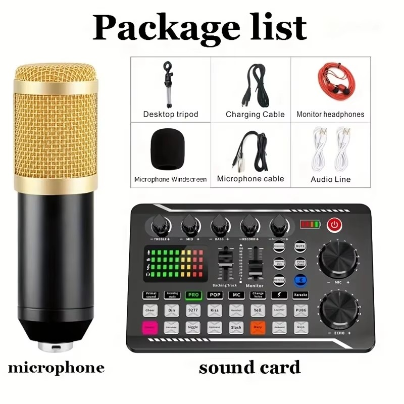 Condenser Microphone Professio - đánh giá và giá Audio Music Voice Changer